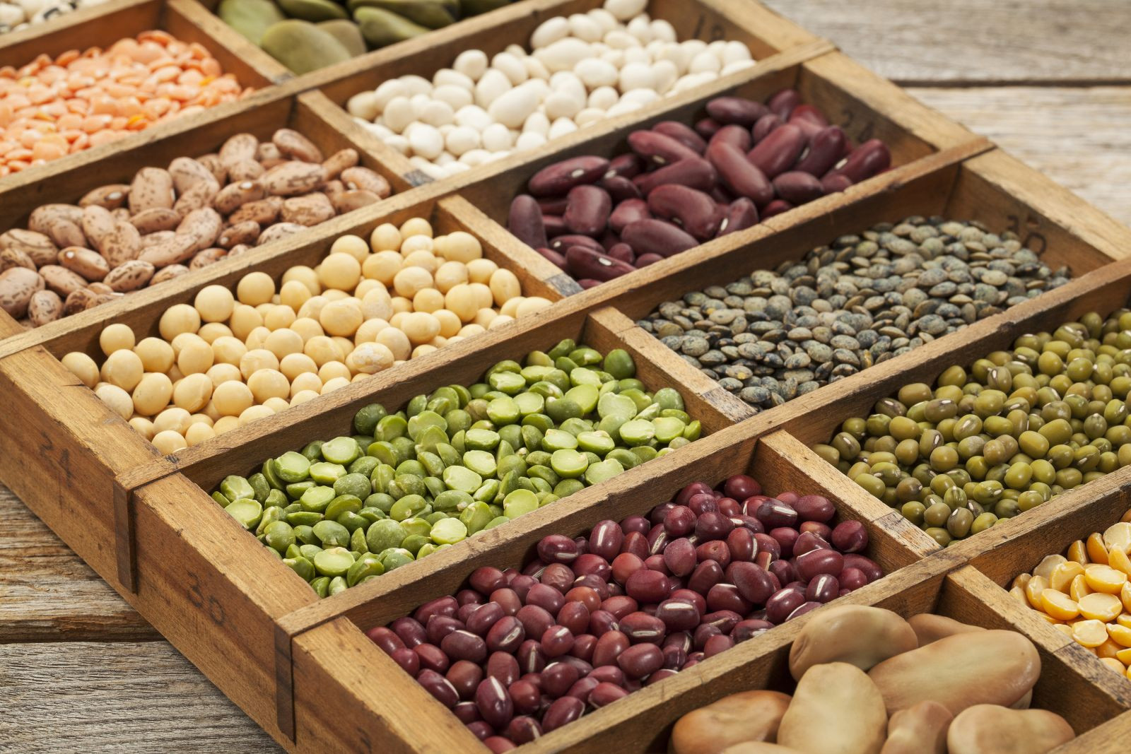 nuts legumes