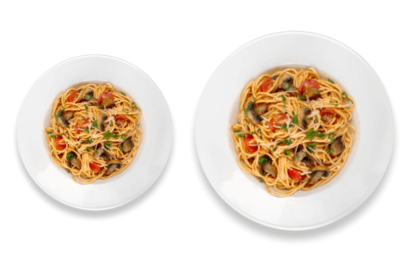 portion size 2