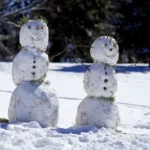 winter activities